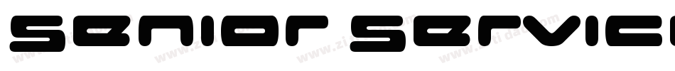 Senior Service字体转换